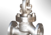 Globe Valve