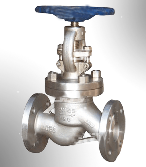 Globe Valve