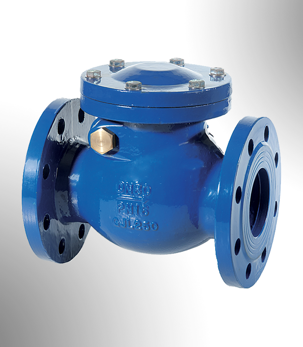 Check Valve