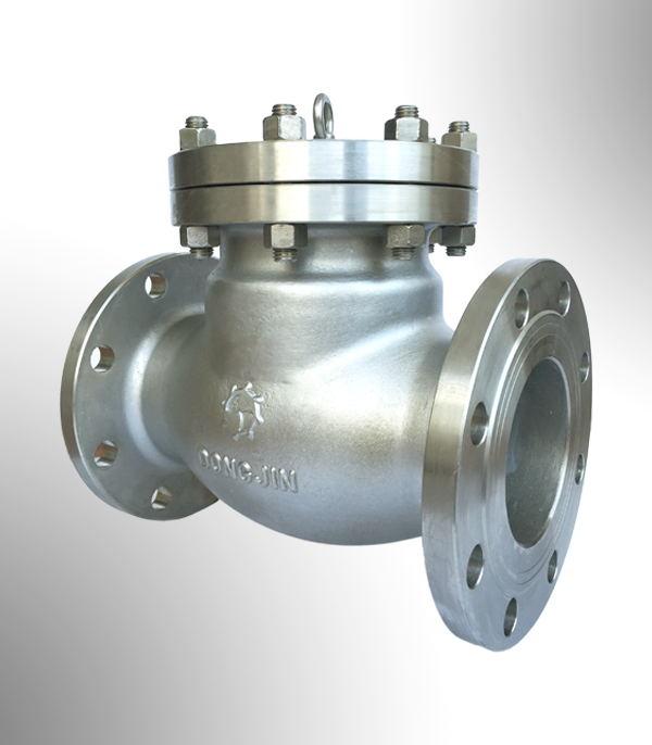 Check Valve
