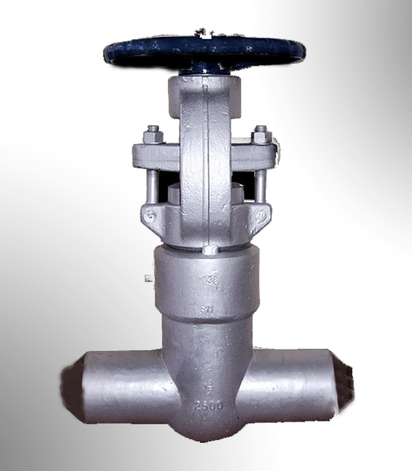 Forged Steel Valve