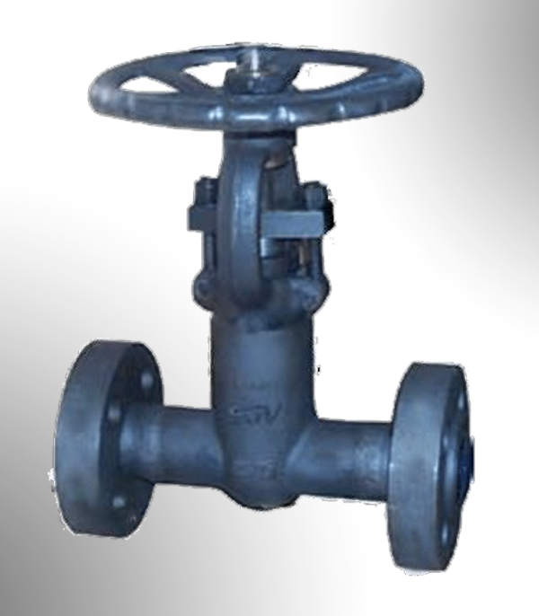 Forged Steel Valve